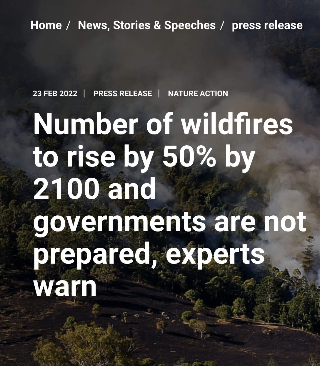 Screen Shot 2022-03-25 at 3.28.42 PM